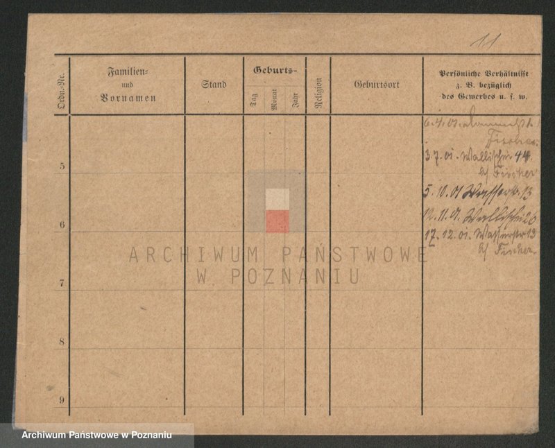 Obraz 11 z jednostki "Kawecki - Kaźmierczak (żonaci)"