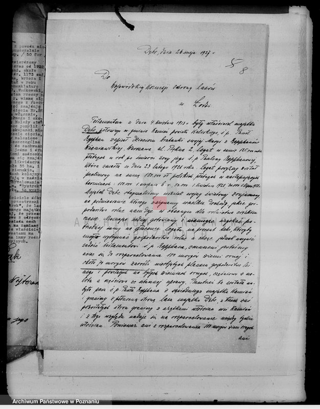 Obraz 12 z jednostki "Sprawy zmiany rodzaju użytkowania gruntów leśnych majątku Dębe w powiecie kaliskim"