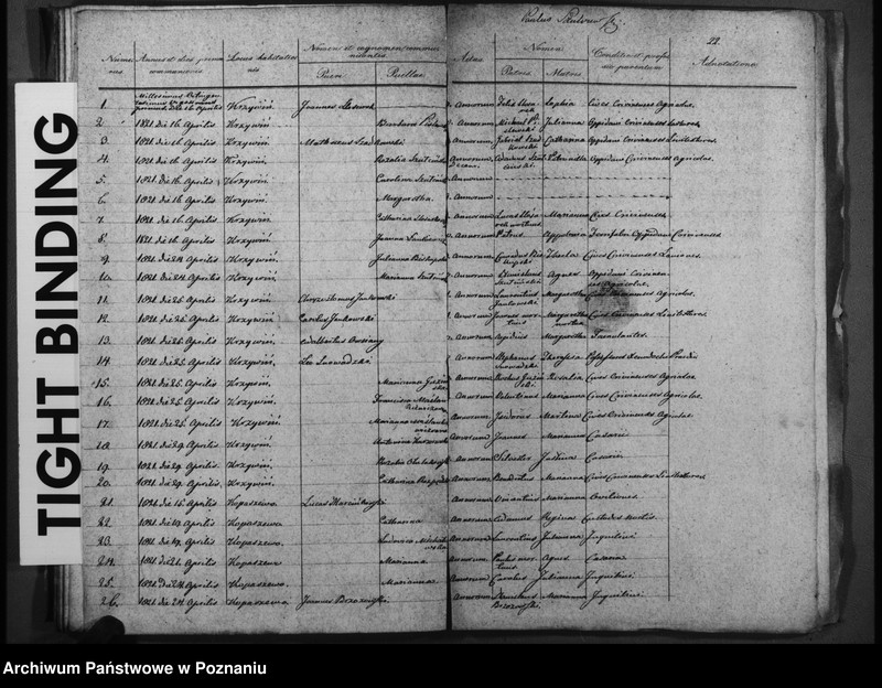 Obraz 17 z jednostki "Duplicatum baptisatorum, copulatorum, mortuorum"