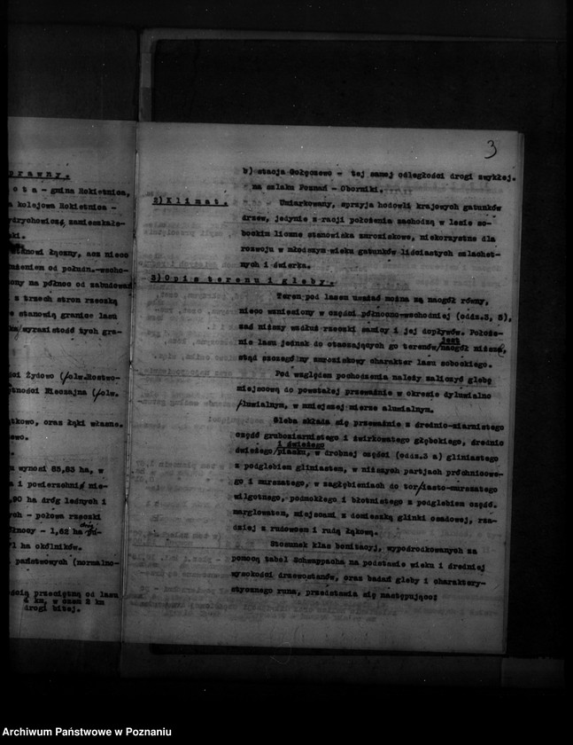 Obraz 7 z jednostki "Plan urządzenia gospodarstwa leśnego dla lasu majętności Sobota powiat poznański 1936-1946"