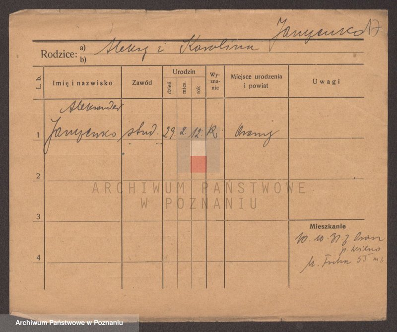 Obraz 17 z jednostki "Jańczakowski - Janiak"