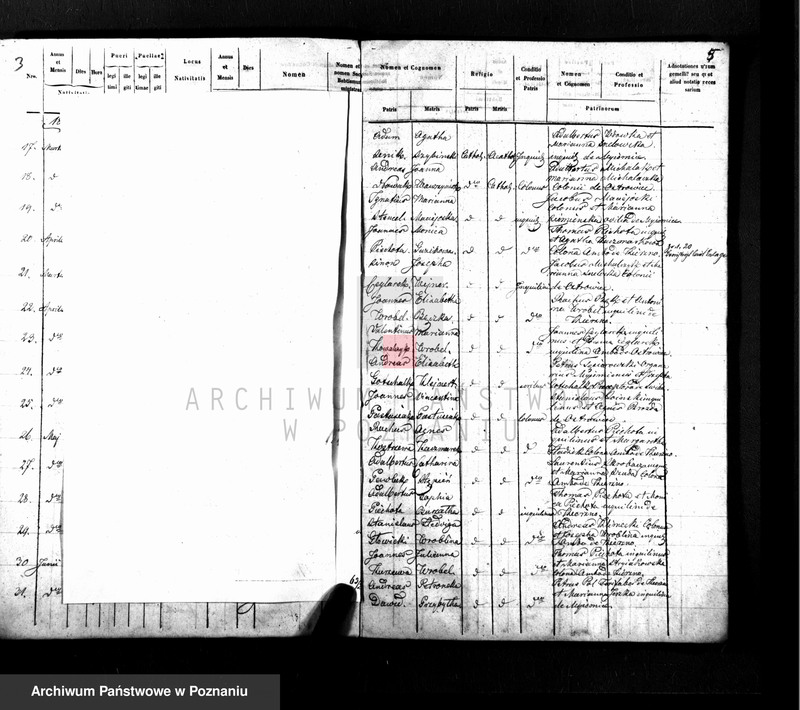 Obraz 5 z jednostki "Duplikat baptisatorum, copulatorum, mortuorum"