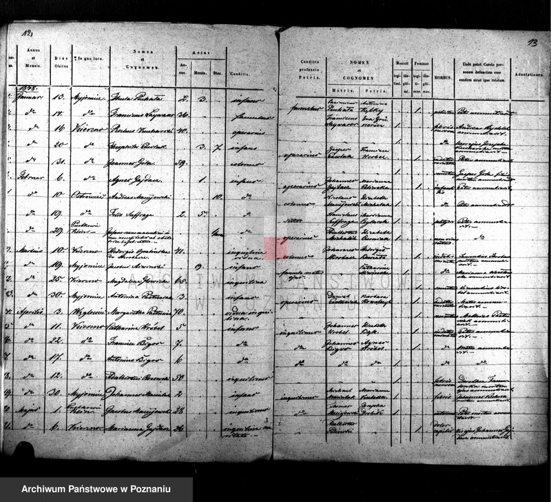 Obraz 8 z jednostki "Duplikat baptisatorum, copulatorum, mortuorum"