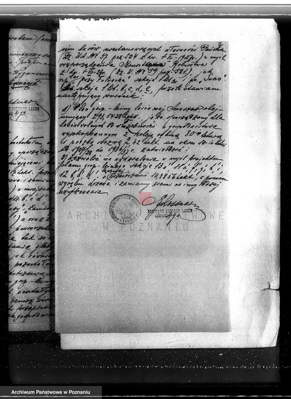 Obraz 11 z jednostki "Majątek Smaszew powiat koniński"