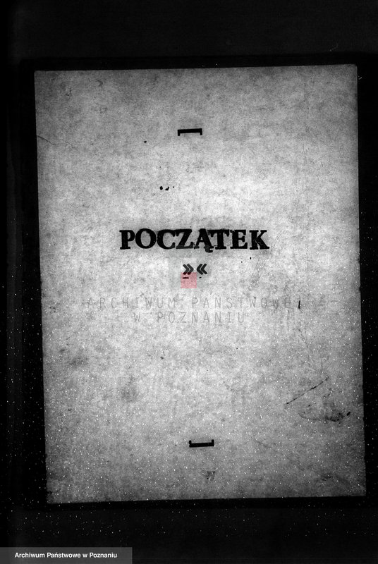 Obraz 3 z jednostki "Majętność leśna Pińsko powiat szubiński"