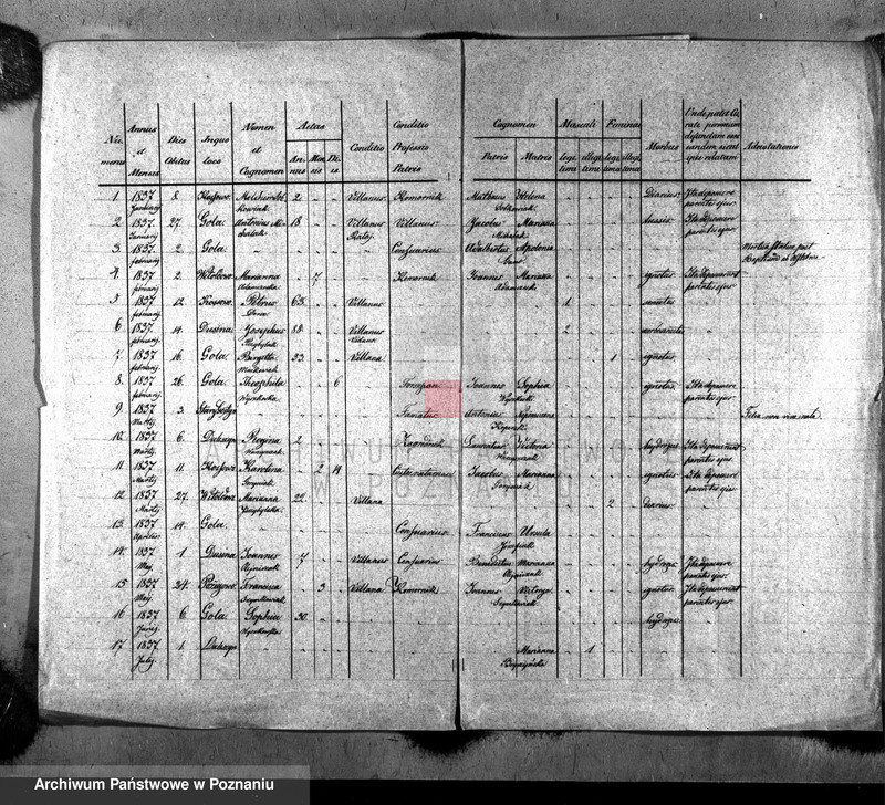 Obraz 2 z jednostki "Liber mortuorum"