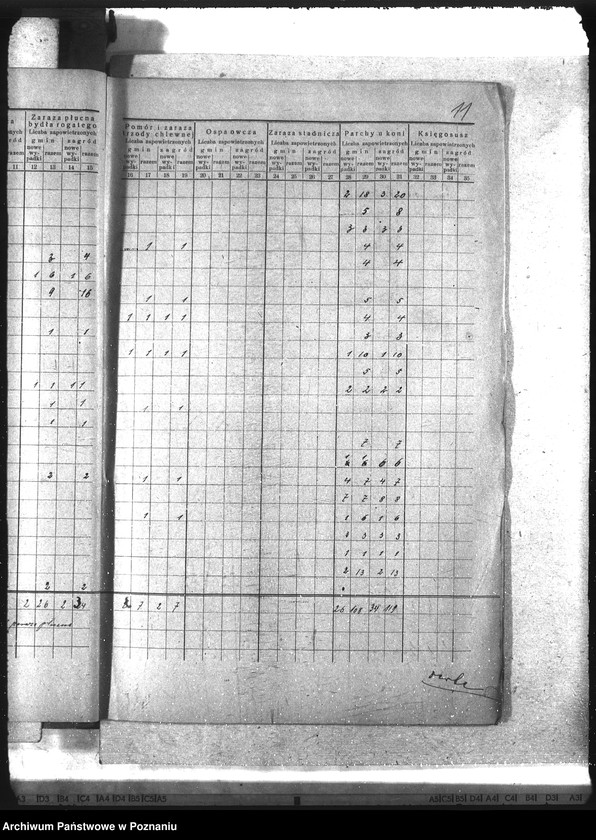 Obraz 15 z jednostki "Wykaz chorób zaraźliwych zwierząt"