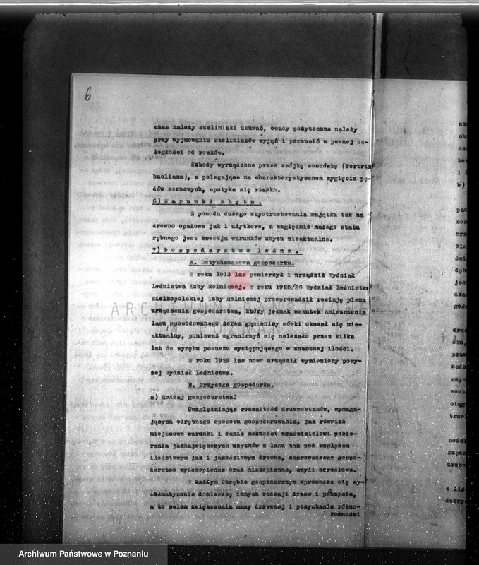 image.from.unit.number "Plan urządzenia gospodarstwa leśnego dla lasu majętności Myszkowo powiat szamotulski 1929-1939"