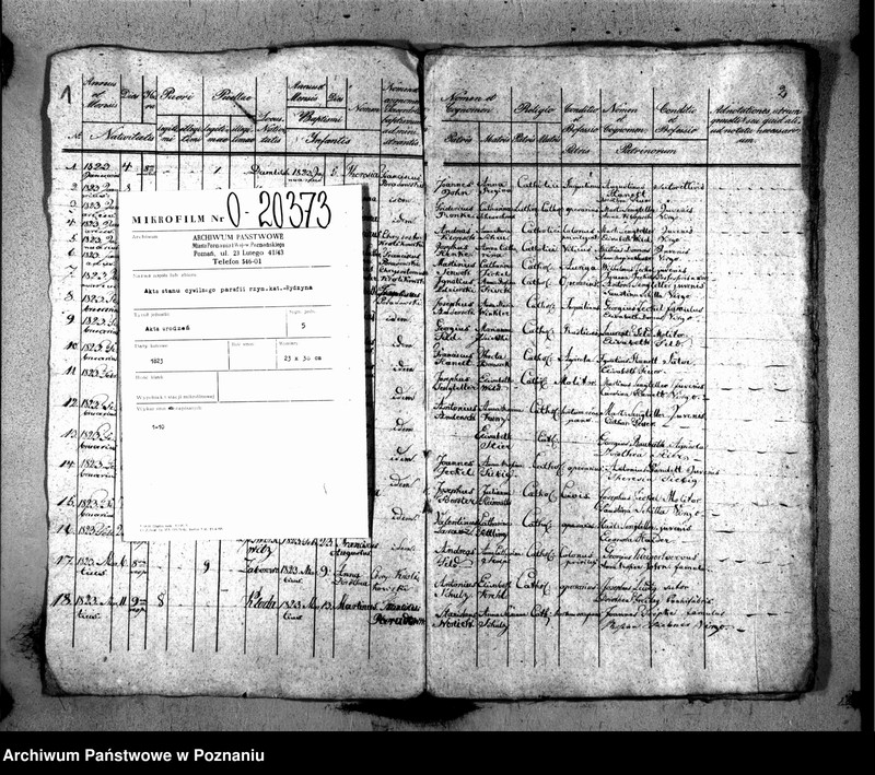 image.from.team "Akta stanu cywilnego Parafii Rzymskokatolickiej Rydzyna (pow. leszczyński)"