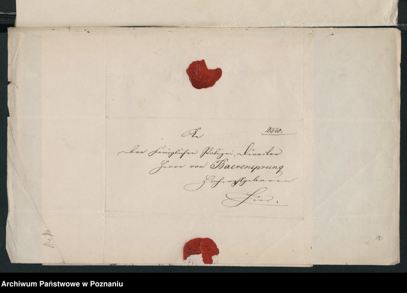 Obraz 20 z jednostki "A. betr. Josef Rowiński, Alexander Raiwitz Rożnatowski, Jesidorius von Rożnowski"