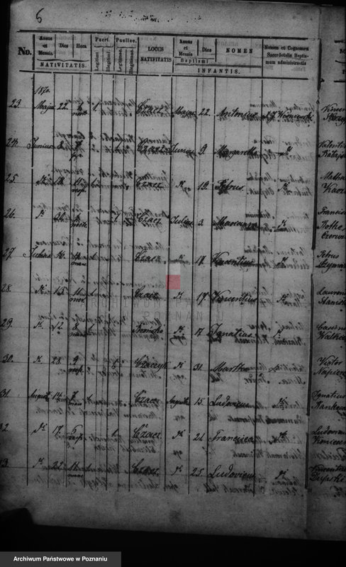 Obraz 8 z jednostki "Duplikat baptisatorum, copulatorum, mortuorum"
