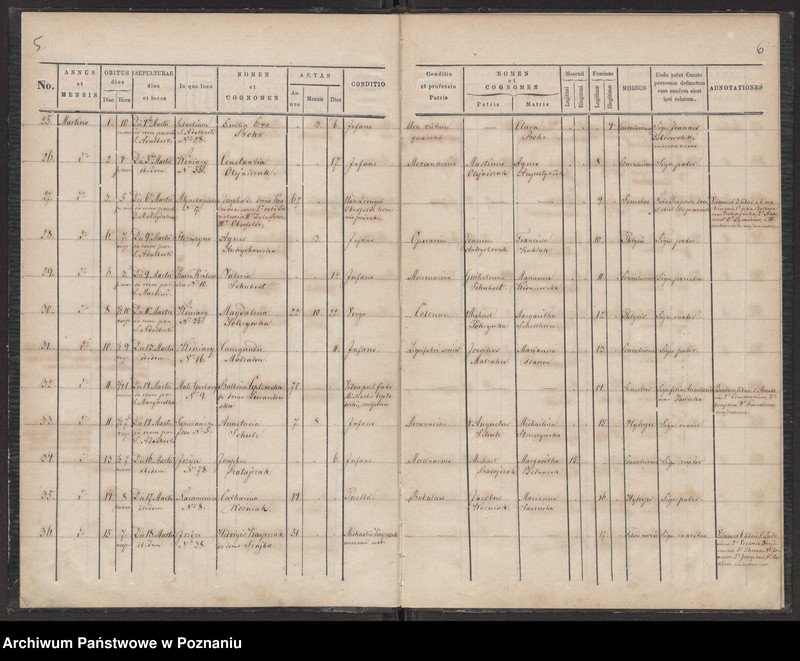 Obraz 5 z jednostki "Księga zgonów"