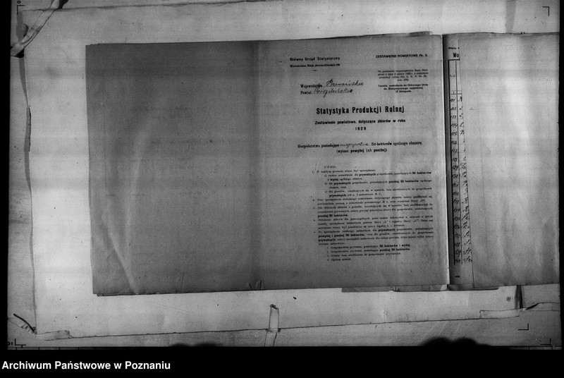 Obraz 19 z jednostki "/Statystyka produkcji rolnej - zestawienie powiatowe - Mogilno/"