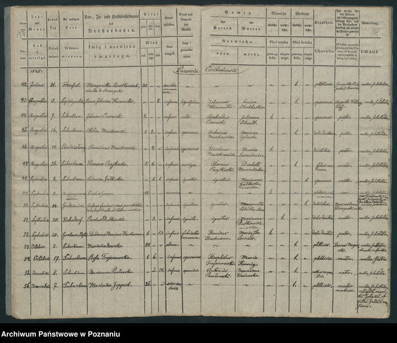 Obraz 11 z jednostki "Księga zgonów"