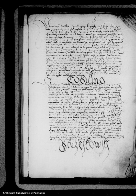 Obraz 7 z jednostki "Inscriptiones, relationes, decreta [inducta]"