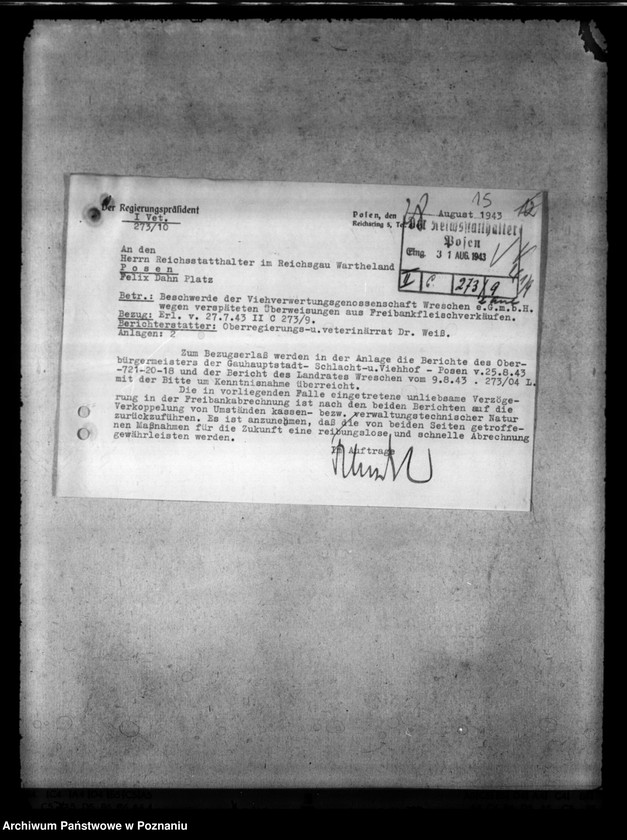 Obraz 19 z jednostki "Freibankfleisch. Notschlachtungen"