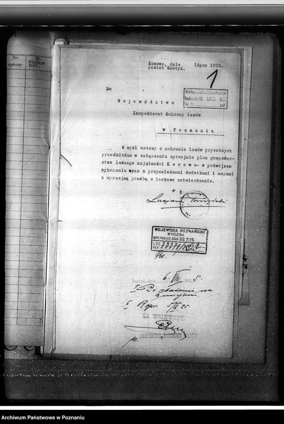 Obraz 5 z jednostki "Nadzór nad gospodarką w lasach majątku Kosowo w powiecie gostyńskim"