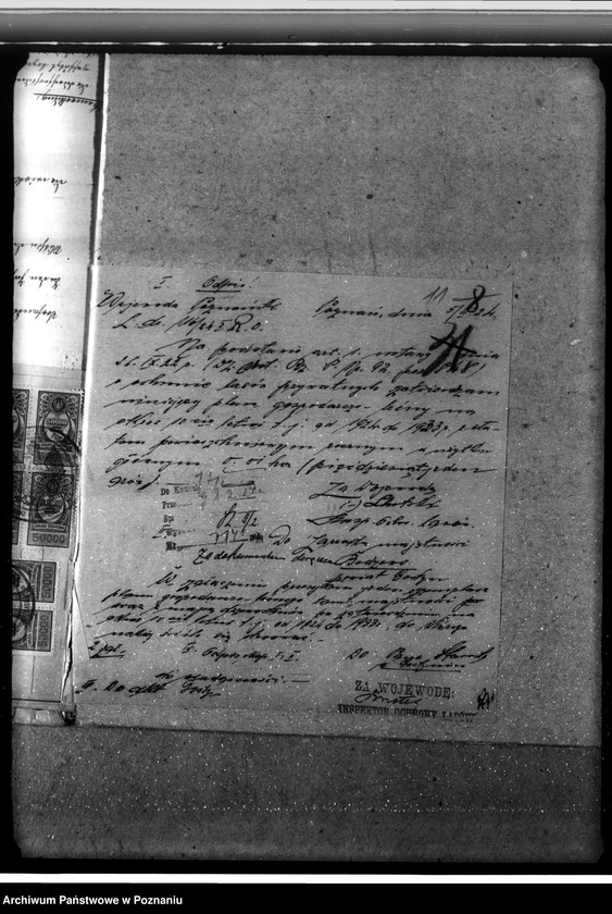 Obraz 15 z jednostki "Las fundacyjny Bodzewo w powiecie gostyńskim"