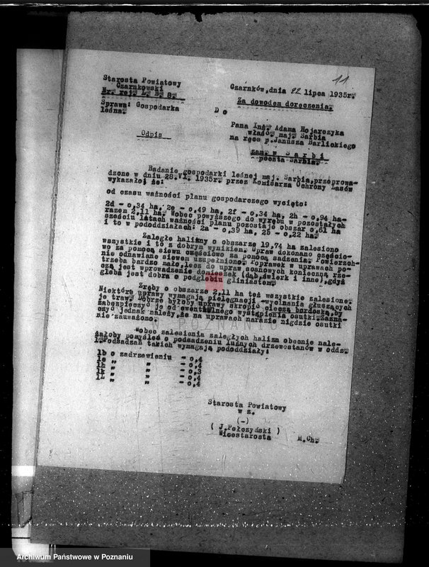 Obraz 17 z jednostki "Majętność leśna w Sarbii w powiecie czarnkowskim"