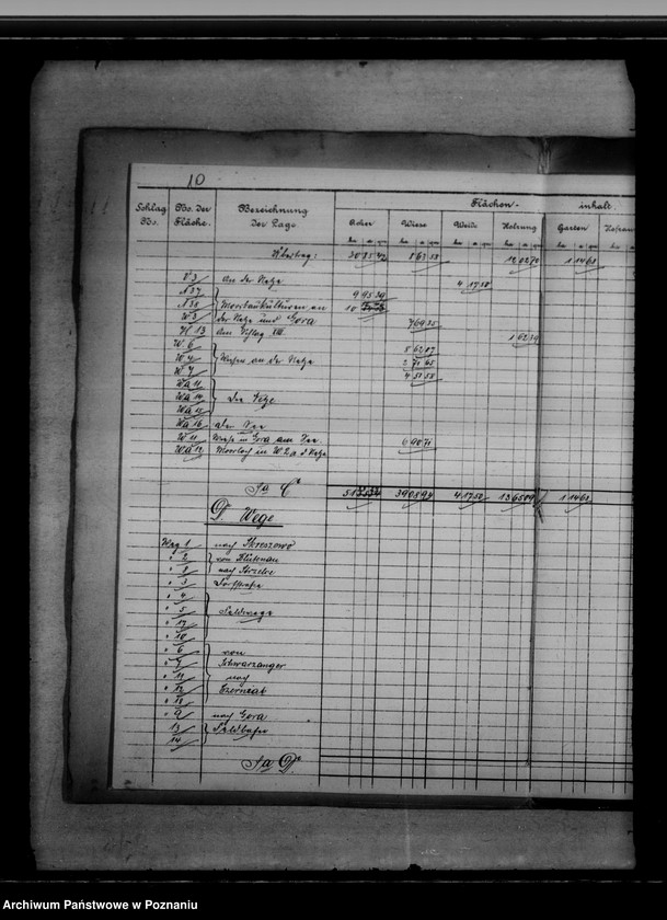 Obraz 14 z jednostki "Vermessungsregister von der Königlichen Domäne Kunowo"