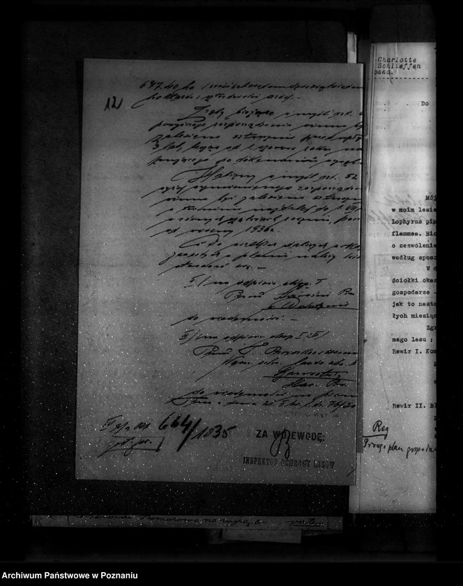 Obraz 16 z jednostki "Majętność leśna Wioska powiat wolsztyński"