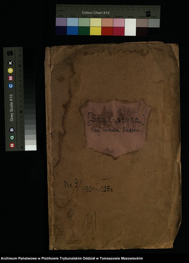 image.from.unit.number "Statystyka Mag[istratu] miasta Brzezin"