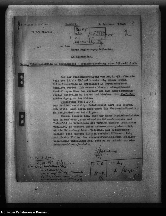 Obraz 7 z jednostki "Trichinose, Typhus"