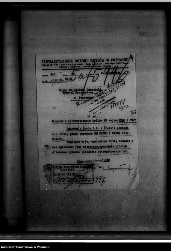 Obraz 18 z jednostki "Cukrownia w Środzie Towarzystwo Akcyjne Nr woj. 5996"