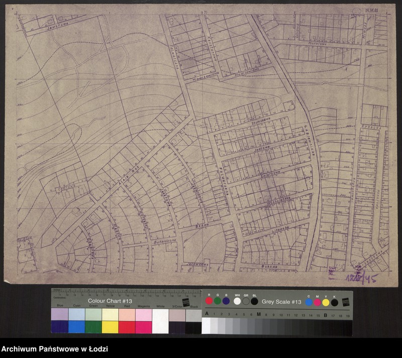 Obraz 1 z jednostki "Plan miasta Łodzi Sekcja NW 61"