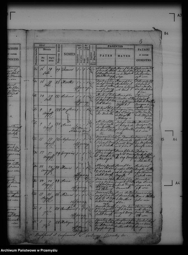 Obraz 9 z jednostki "[Kopie ksiąg metrykalnych parafii Piątkowa Ruska (dekanat Bircza)]"