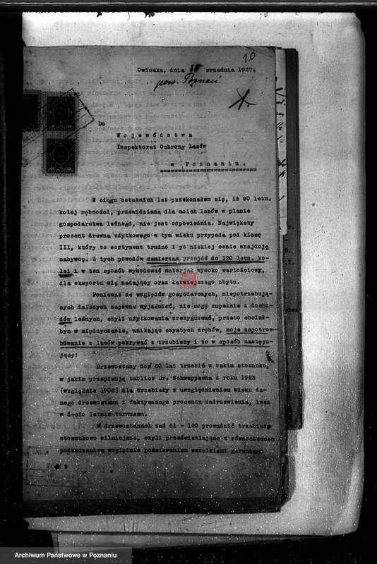 Obraz 14 z jednostki "Nadzór nad gospodarką w lasach majętności Owińska powiat poznański"