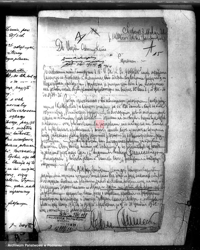 Obraz 19 z jednostki "Majętność leśna /Siekówko/ powiat kościański"