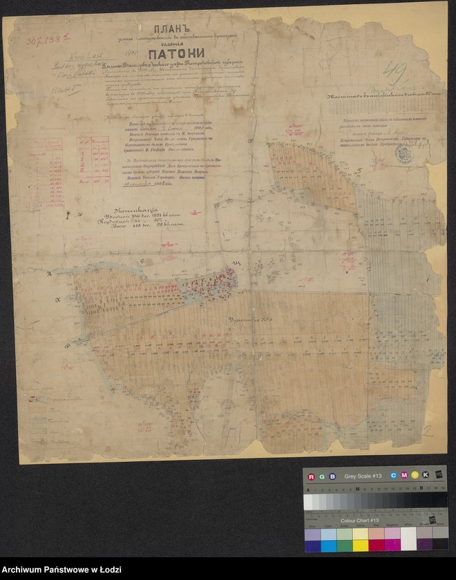 Obraz 1 z jednostki "Plan zemel´ postupivšich v´ sobstvennost´ krest´jan selenija Patoki gminy Wygelzov, laskago uezda"