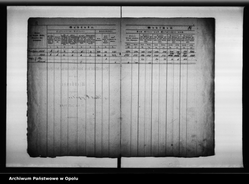 Obraz 16 z jednostki "Acta des Magistrats zu Oppeln betreffend Aufnahme und Einsendung der städtischen Tabellen von der Stadt Oppeln"