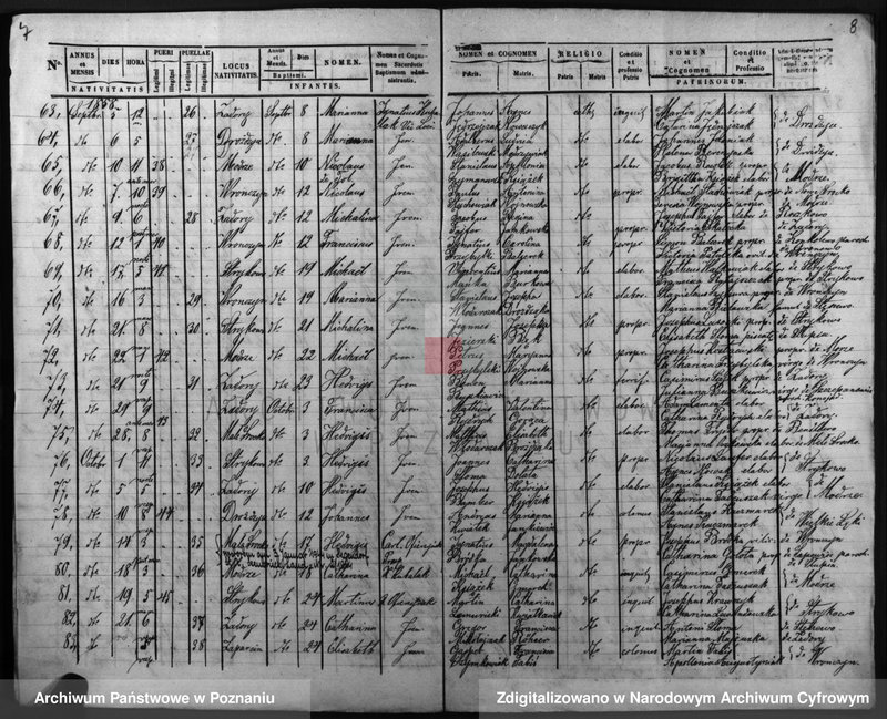 Obraz 7 z jednostki "Duplicatus baptisatorum, copulatorum, mortuorum"