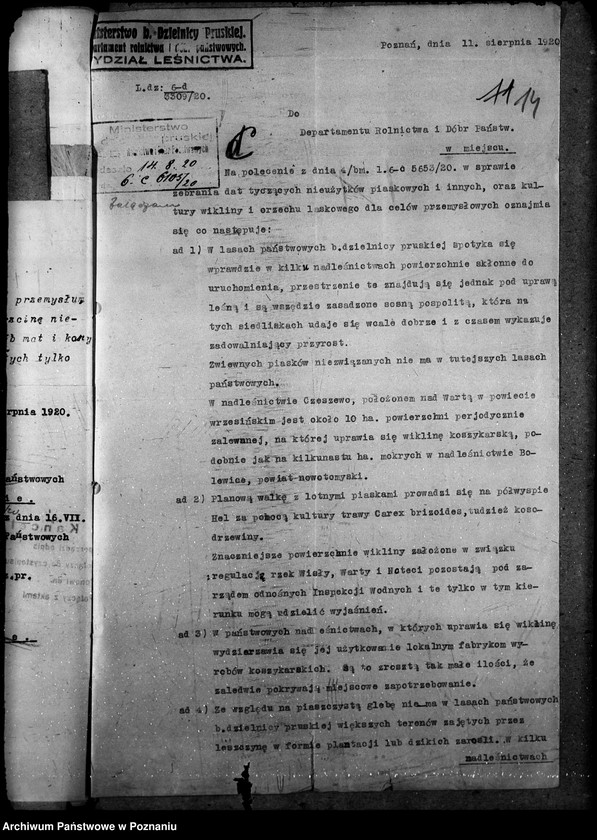 Obraz 18 z jednostki "Nieużytki rolne"