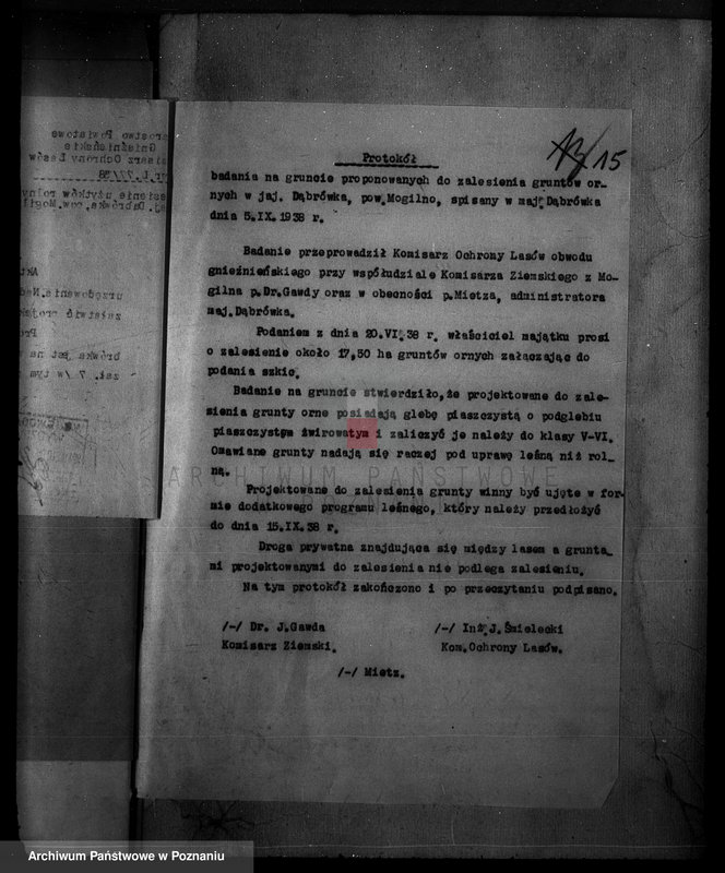 Obraz 19 z jednostki "Majętność /leśna/ Szczeglin Dąbrówka w powiecie mogileńskim"