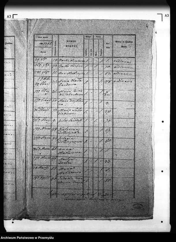 Obraz 8 z jednostki "[Kopie ksiąg metrykalnych parafii Brzegi (dekanat Sambor)]"