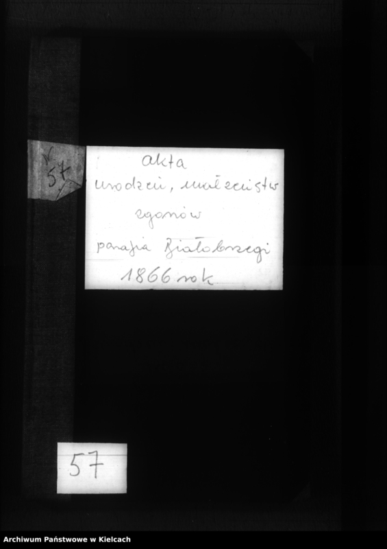 image.from.team "Akta stanu cywilnego Parafii Rzymskokatolickiej w Białobrzegach"