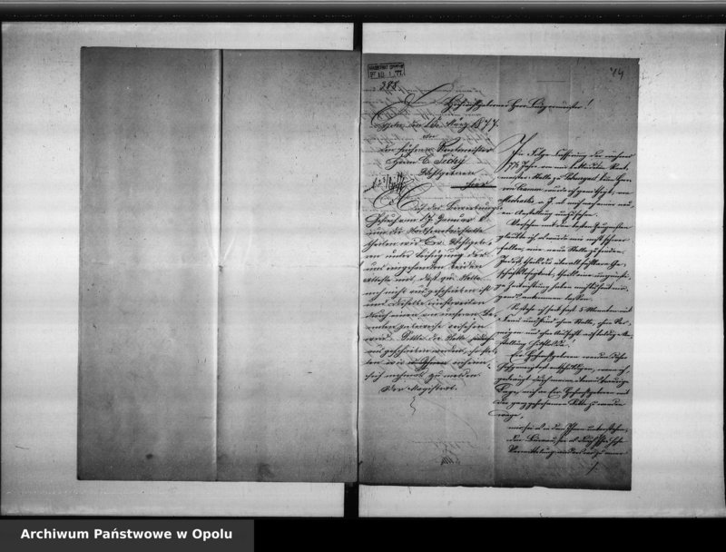 Obraz 13 z jednostki "Acta des Magistrats zu Oppeln betreffend die Wiederbesetzung der durch den Tod des p. Heyne erledigten Stadt - Secretair - Stelle"