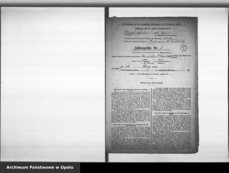 Obraz 5 z jednostki "[Okręg spisowy Nr 30. Spis ludności, 3 XII 1867]"