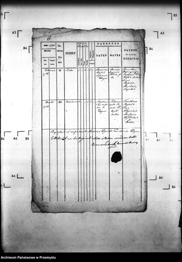 Obraz 10 z jednostki "[Kopie ksiąg metrykalnych parafii Krzywa z filią Banica (dekanat Gorlice)]"