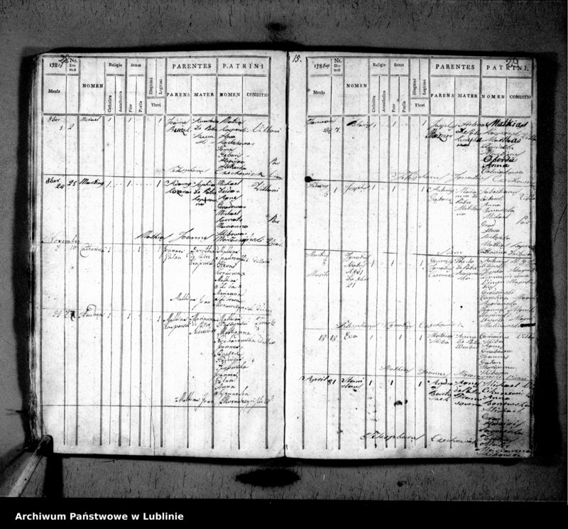 image.from.unit.number "Liber natorum pro villa Rybnica et Paar"