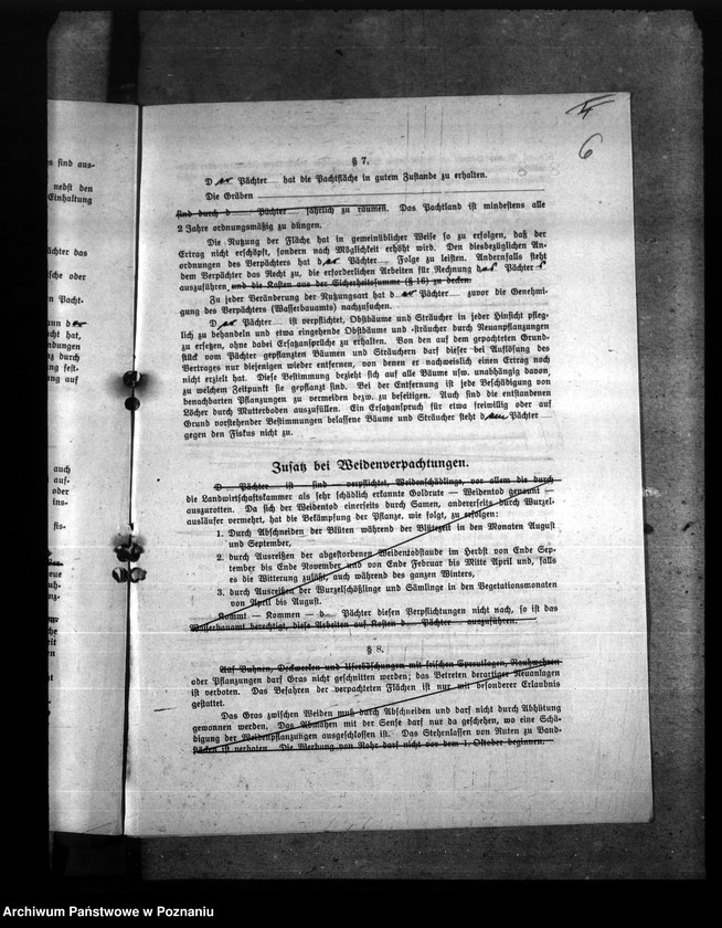 Obraz 11 z jednostki "Dzierżawienie gruntów należących do Dyrekcji Dróg Wodnych"