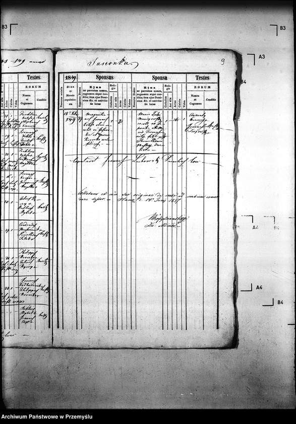 Obraz 13 z jednostki "[Kopie ksiąg metrykalnych parafii Krzywa z filiami Jasionka, Wołowiec (dekanat Gorlice)]"