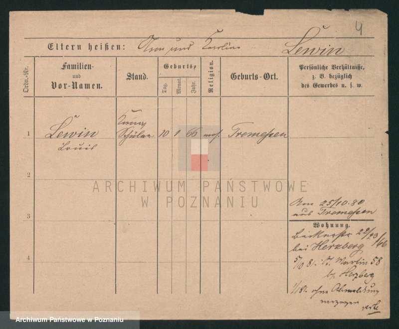 Obraz 4 z jednostki "Lewiecki - Lewulski"