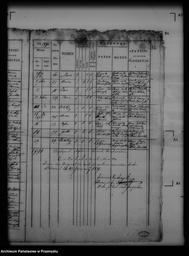 Obraz 16 z jednostki "[Kopie ksiąg metrykalnych parafii Trzcianiec (dekanat Bircza)]"