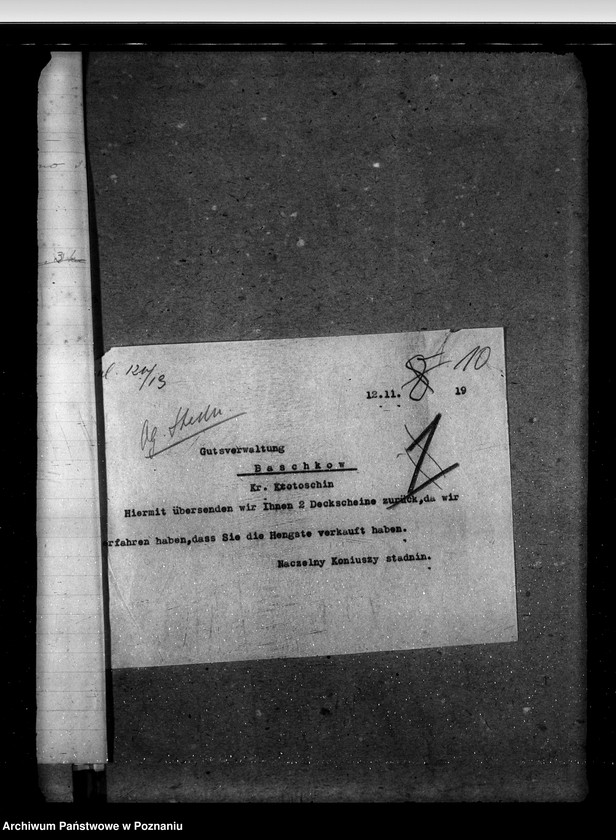 Obraz 14 z jednostki "Sprawy stadnin stadniny - ogólne zarządu stadnin"