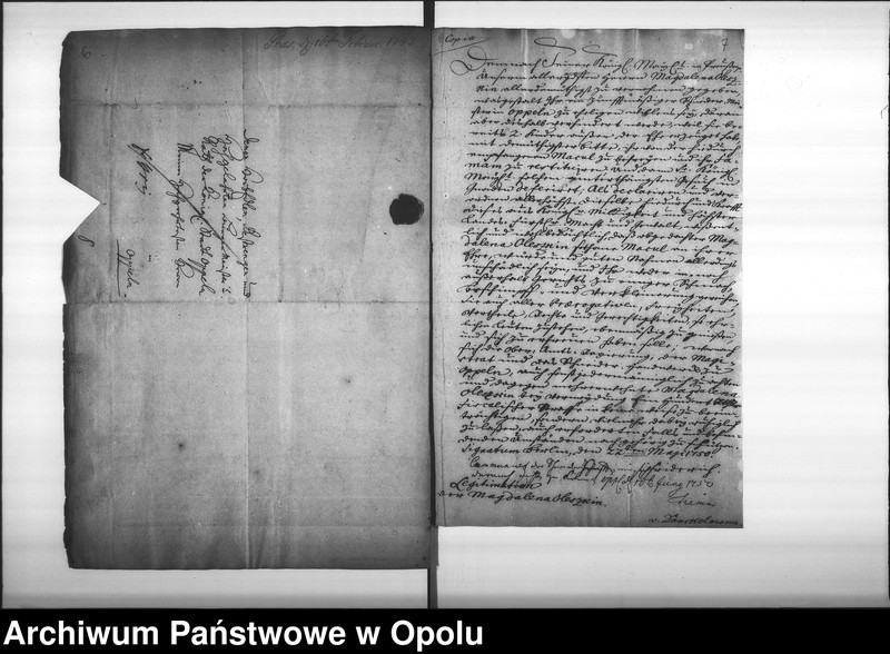 Obraz 10 z jednostki "Acta des Magistrats zu Oppeln betreffend die Legitimation unehelich erzeugter Kinder und Personen Vol. I"