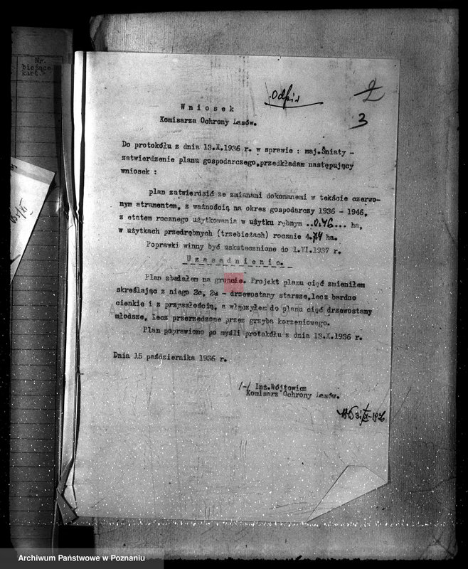 Obraz 7 z jednostki "Las majętność Śniaty powiat kościański"